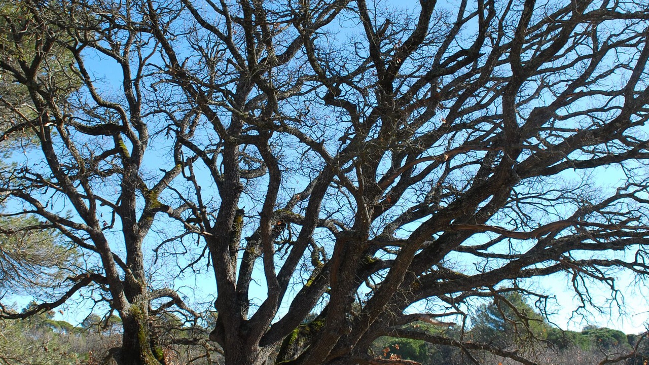 Photo of Outdoor in Jouques