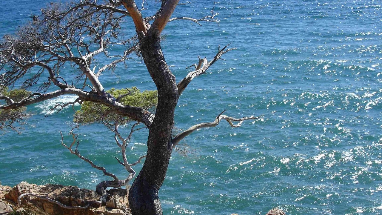 Photo of Others in Cap Benat