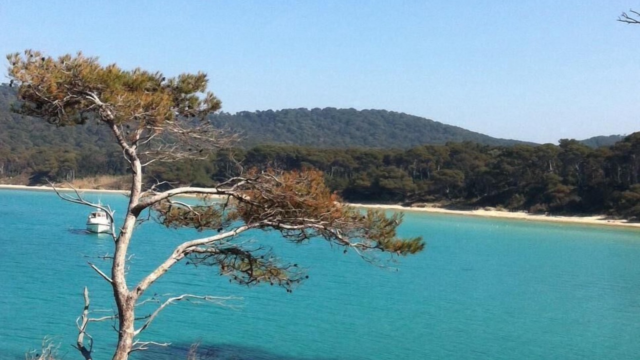 Photo of Outdoor in Porquerolles