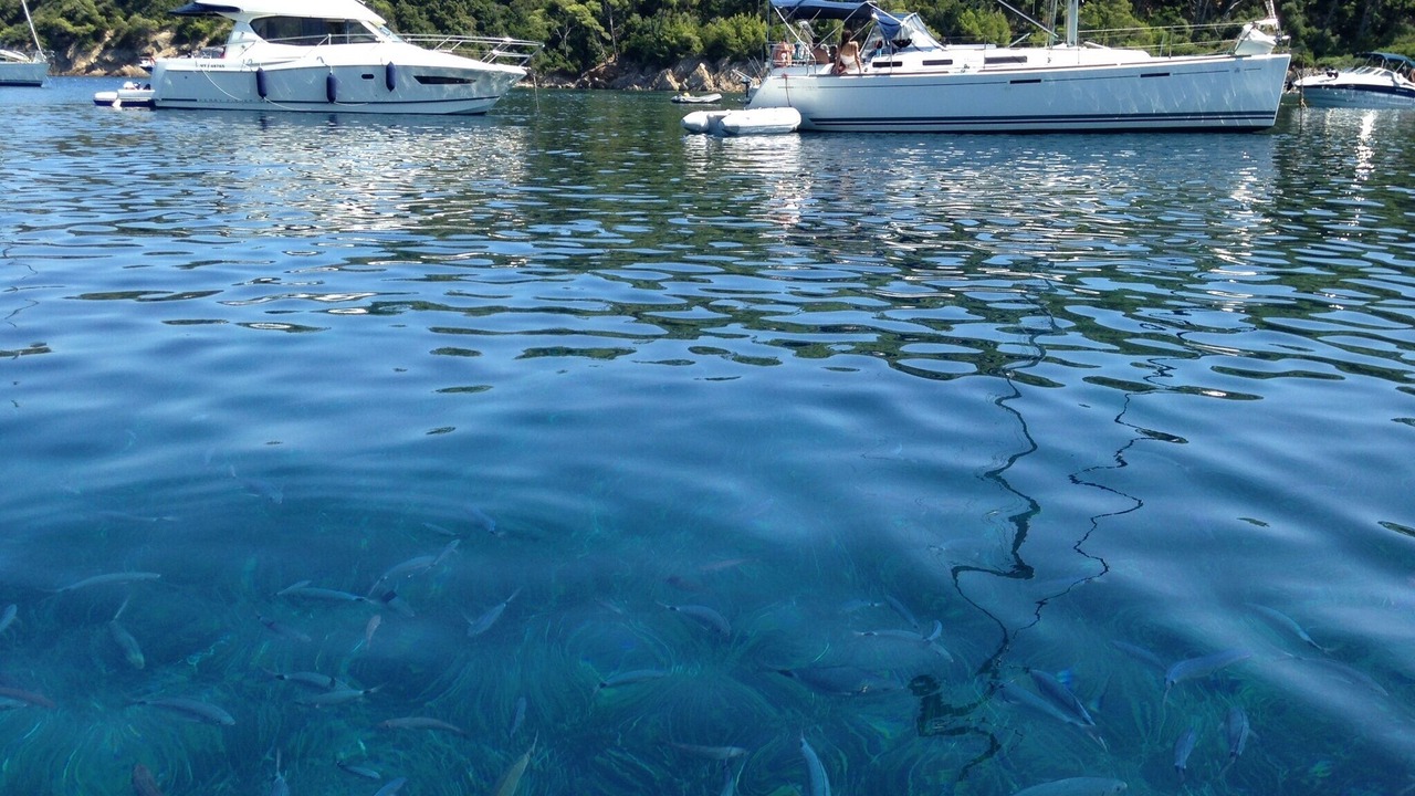 Photo of Outdoor in Porquerolles