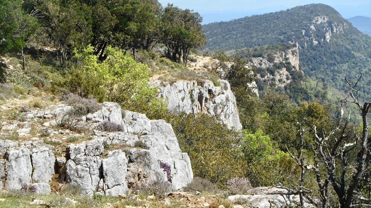 Photo of Outdoor in Cuers