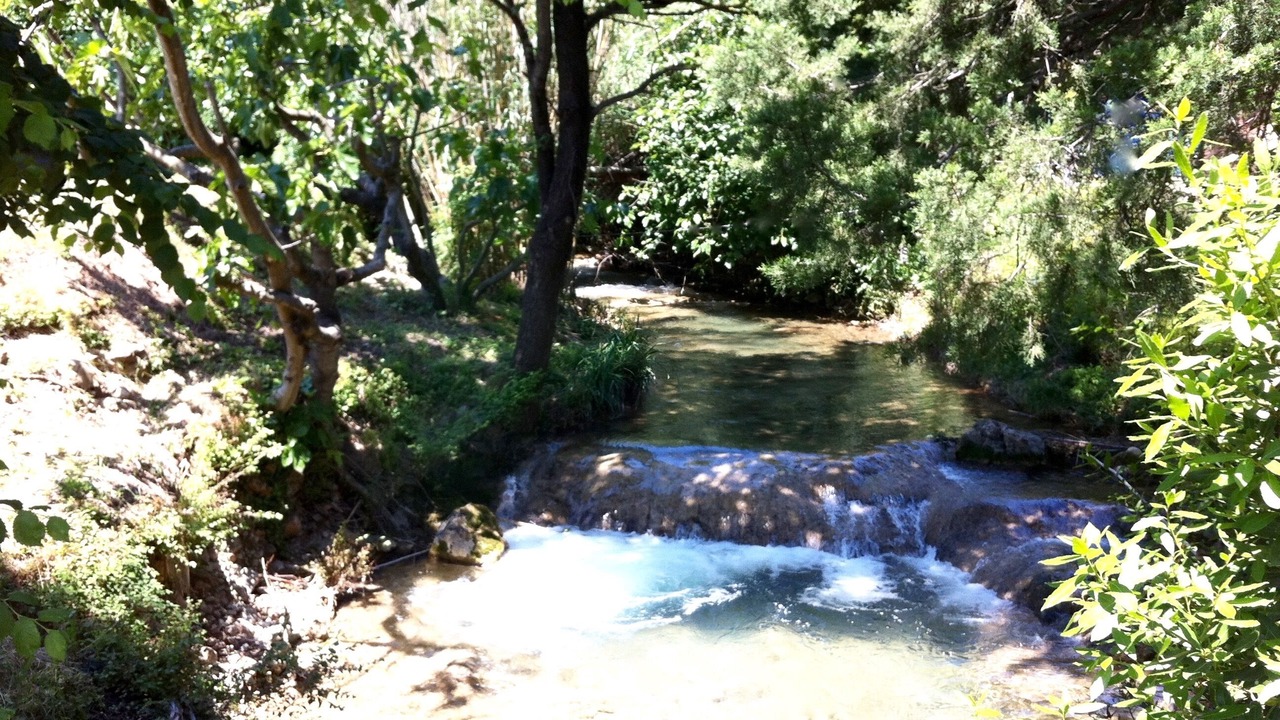 Photo of Outdoor in Cuers