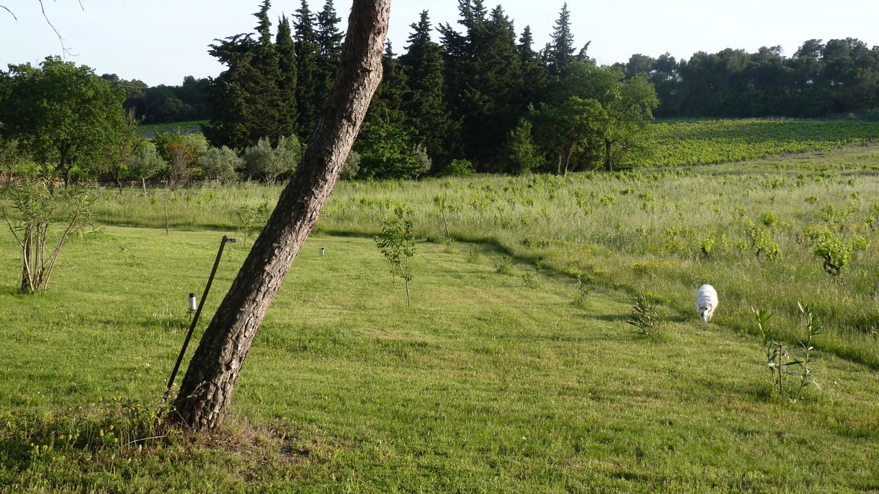 Photo of Outdoor in Mondragon