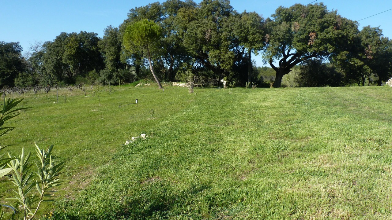 Photo of Outdoor in Mondragon