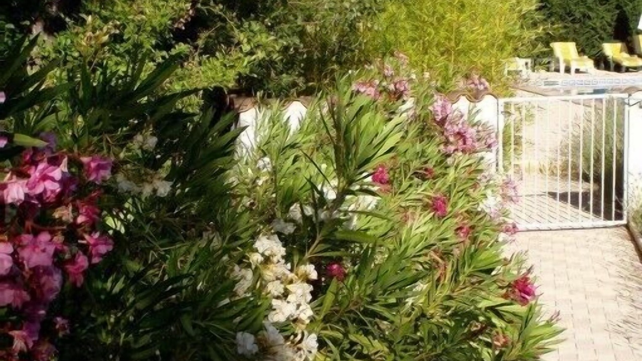 Photo of Outdoor in Cabasse