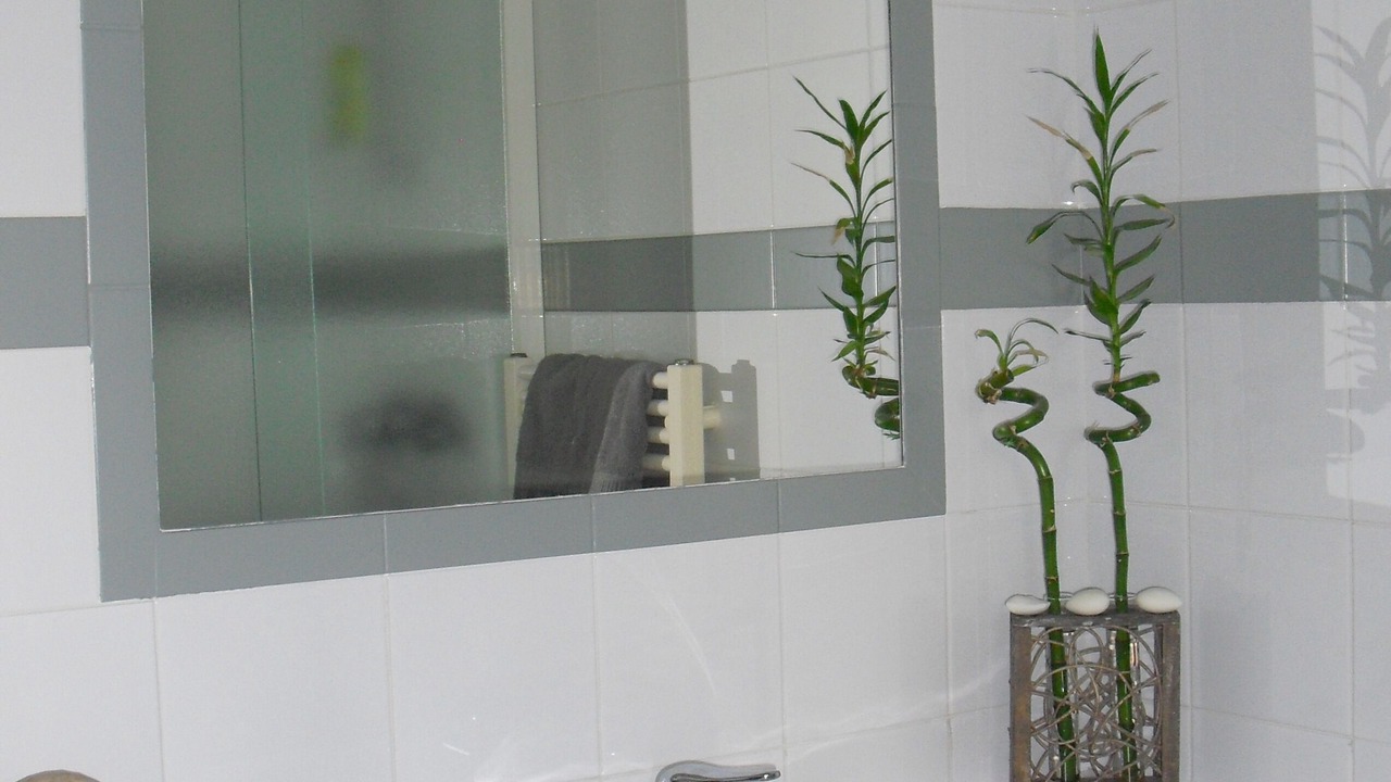 Photo of Bathroom in Velleron
