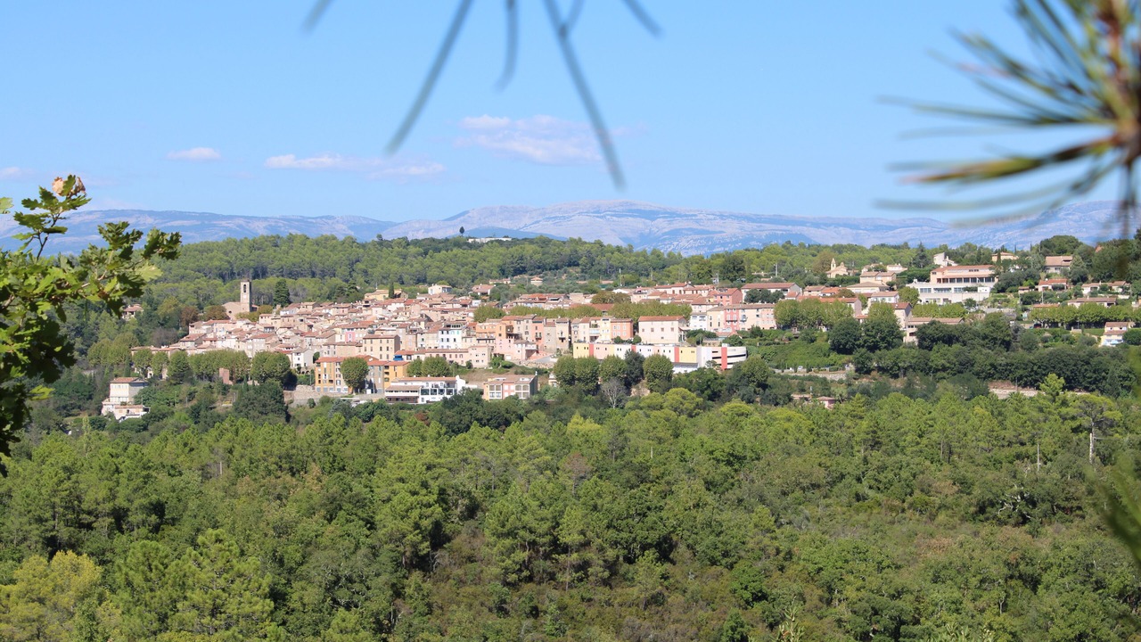 Photo of Outdoor in Bagnols-en-Foret