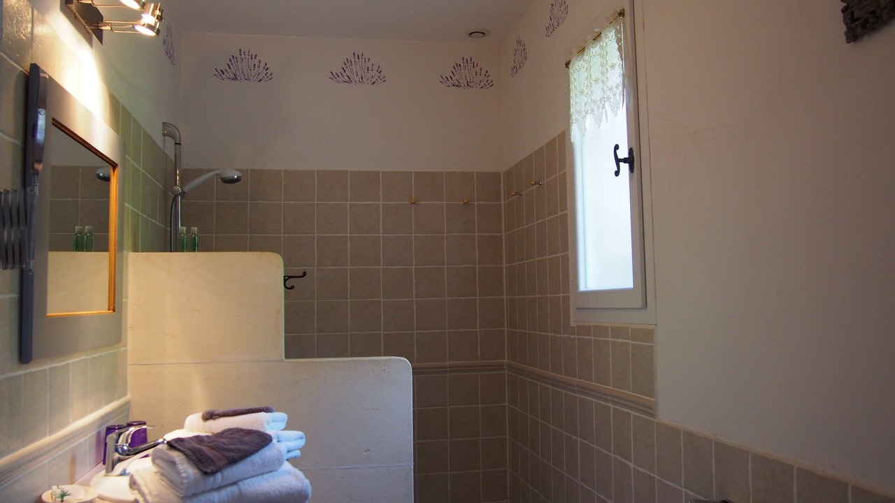 Photo of Bathroom in Lacoste