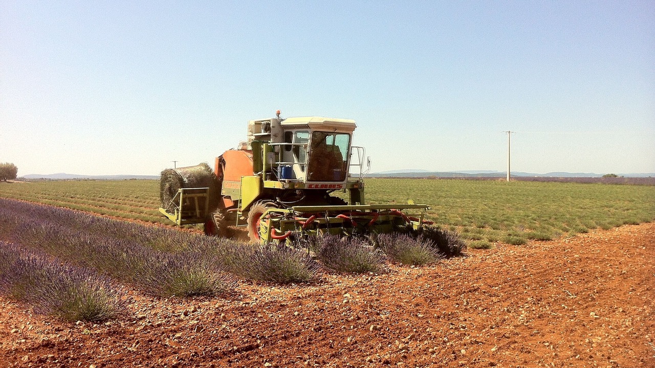 Photo of Others in Valensole