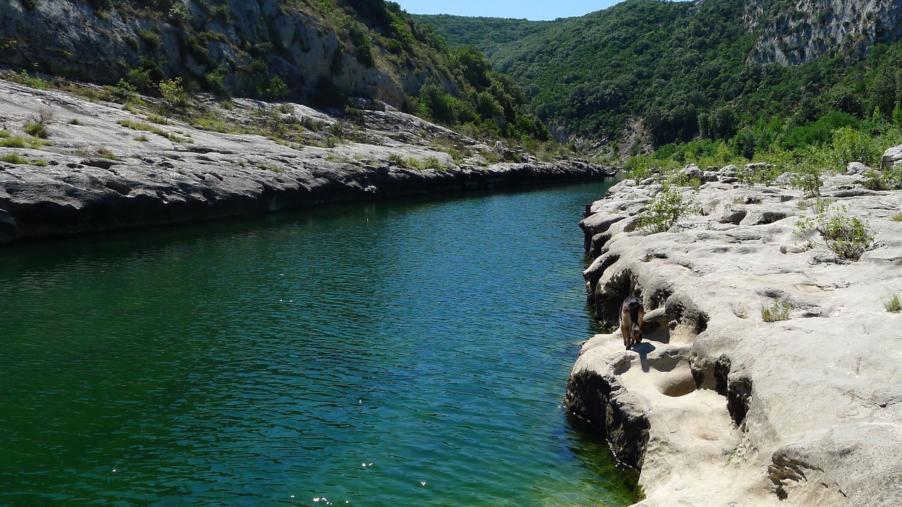 Photo of Others in Vers-Pont-du-Gard