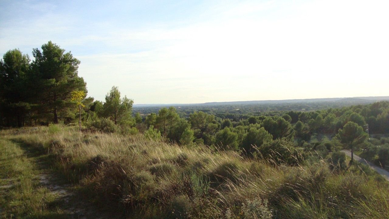 Photo of Outdoor in Velleron