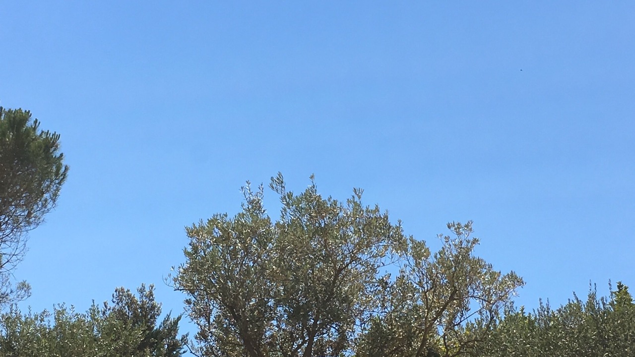 Photo of Outdoor in Calas