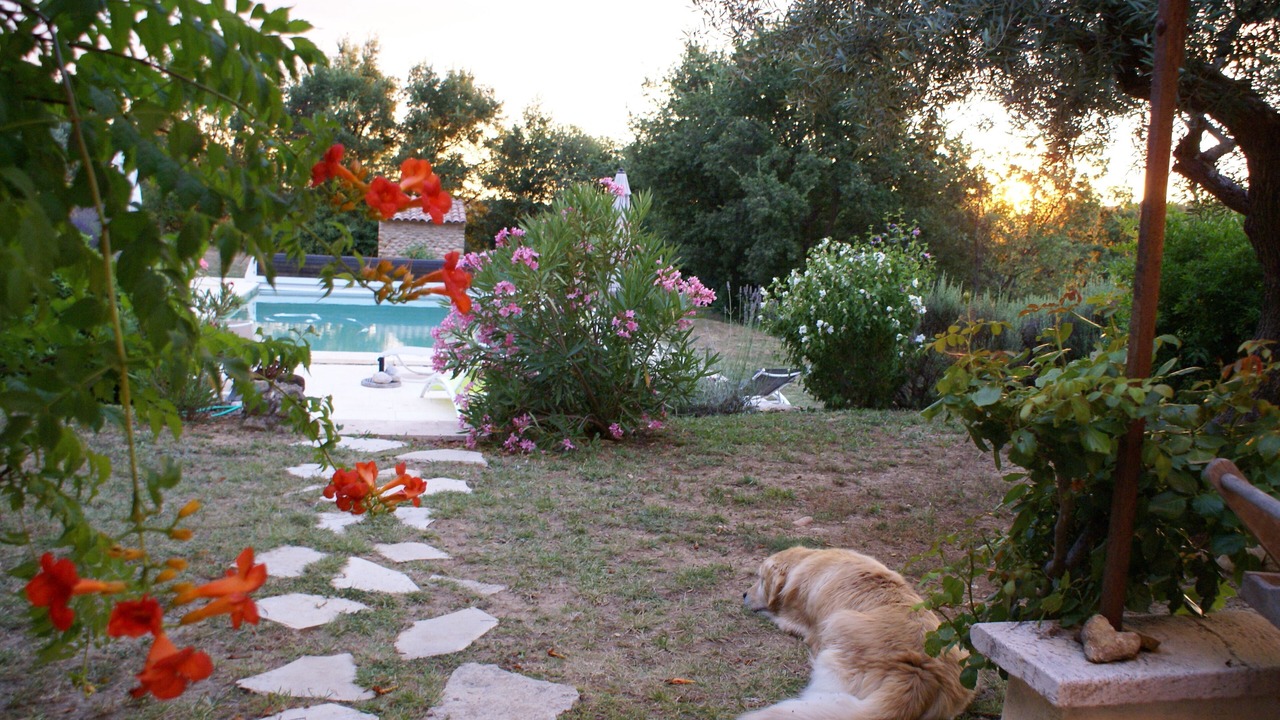 Photo of Outdoor in Montagnac-Montpezat