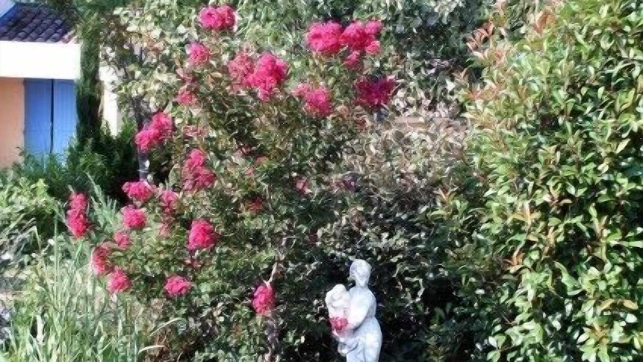 Photo of Outdoor in Pierrevert