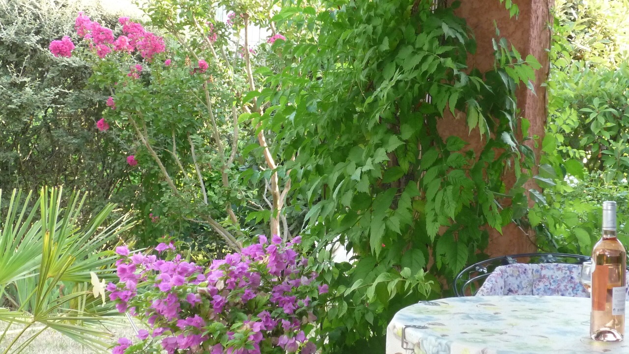 Photo of Outdoor in Pierrevert