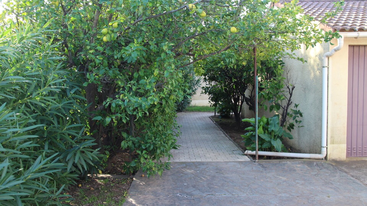 Photo of Outdoor in Miramar