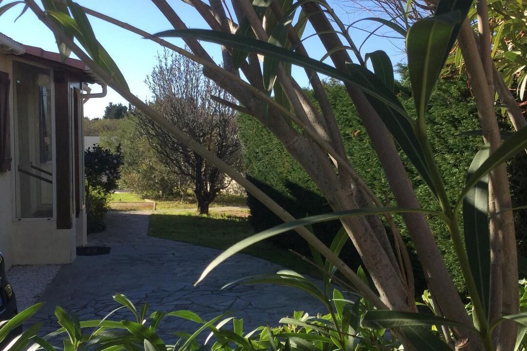 Photo of Outdoor in Miramar