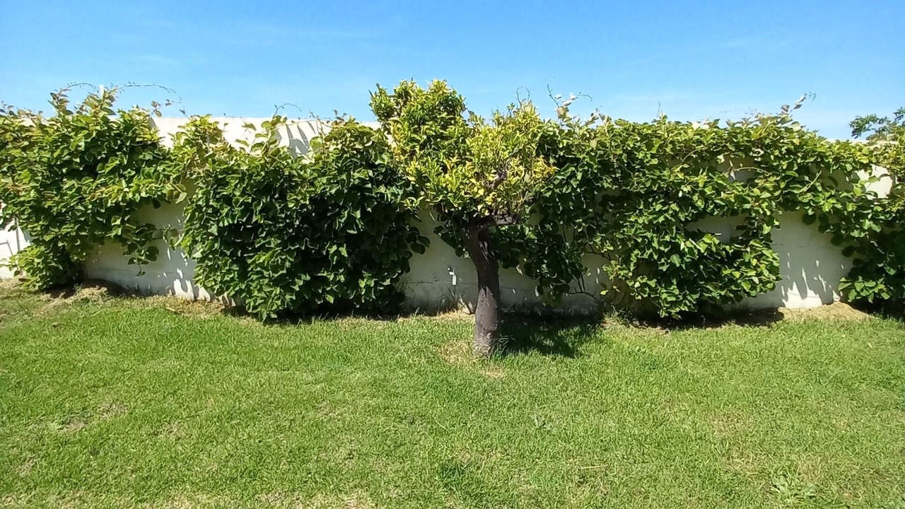 Photo of Outdoor in Miramar