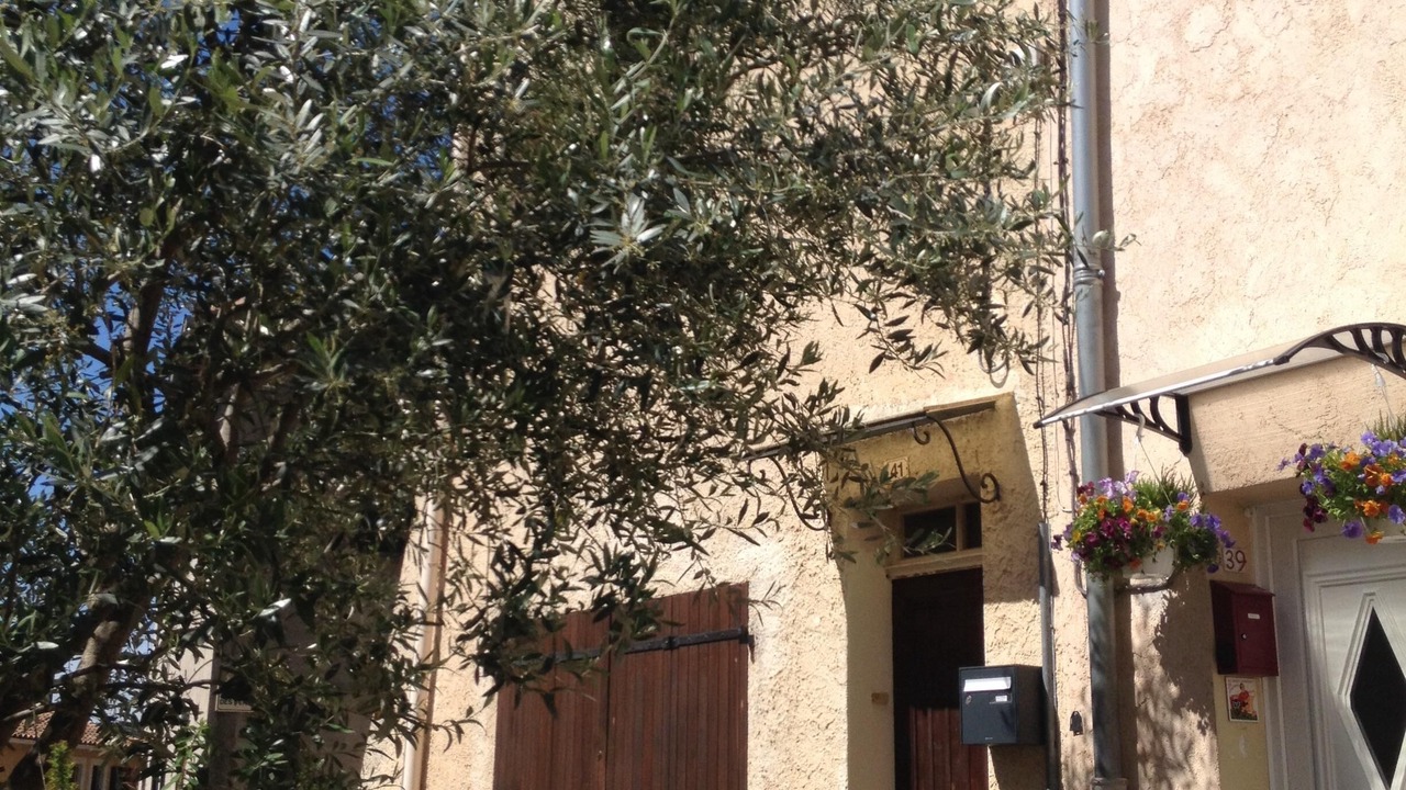 Photo of Outdoor in Les Censies
