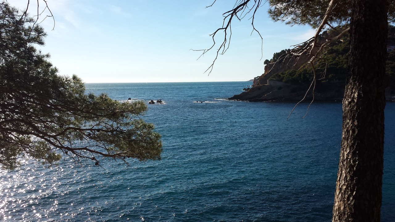 Photo of Others in Ensues-la-Redonne