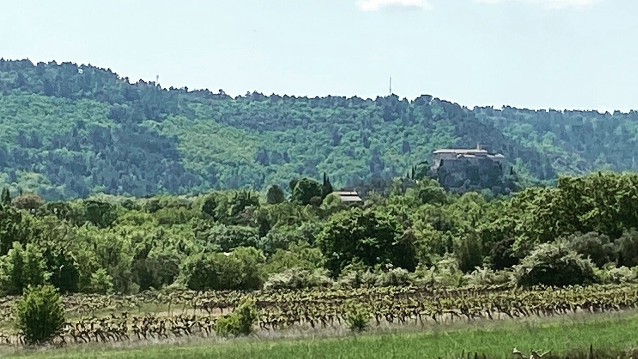 Photo of Others in Cucuron