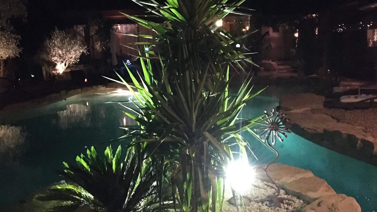 Photo of Outdoor in Puget