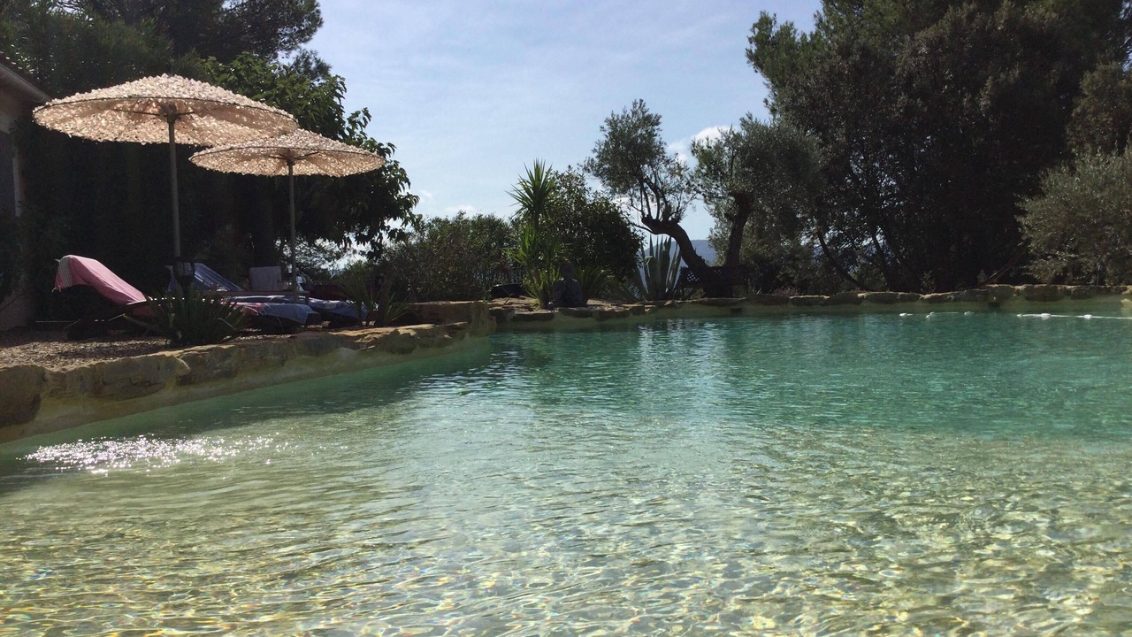 Photo of Outdoor in Puget