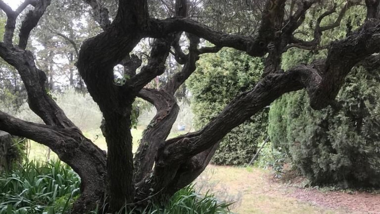 Photo of Outdoor in Boulbon
