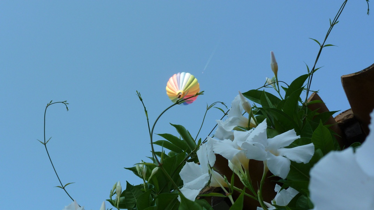 Photo of Outdoor in Roussillon