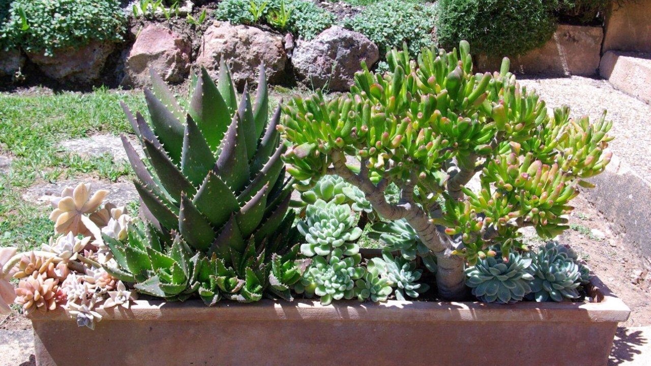 Photo of Outdoor in Roussillon