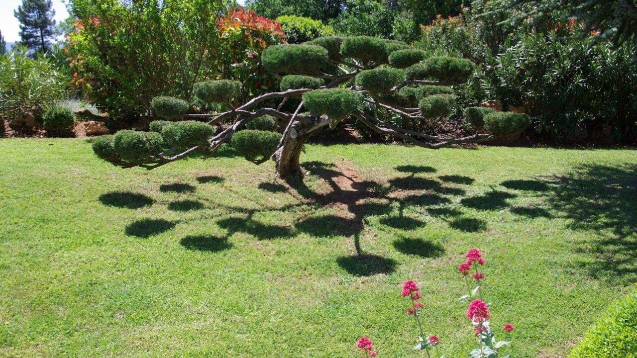 Photo of Outdoor in Roussillon