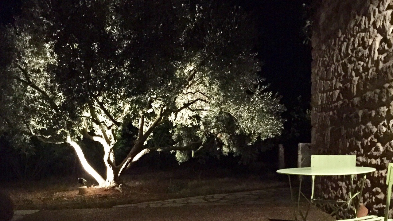Photo of Outdoor in Maubec