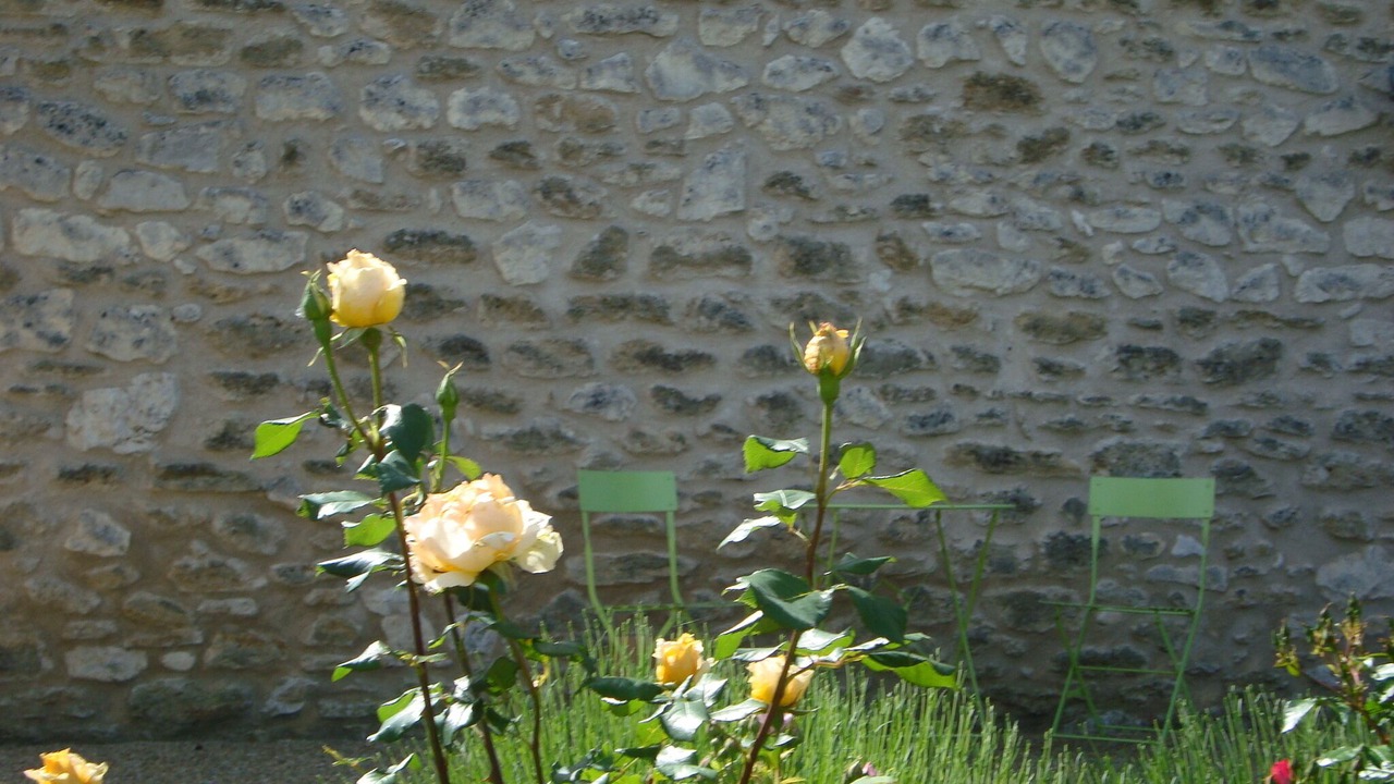 Photo of Outdoor in Maubec