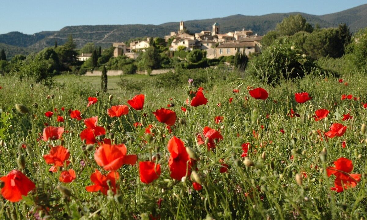 Photo of Others in Lourmarin