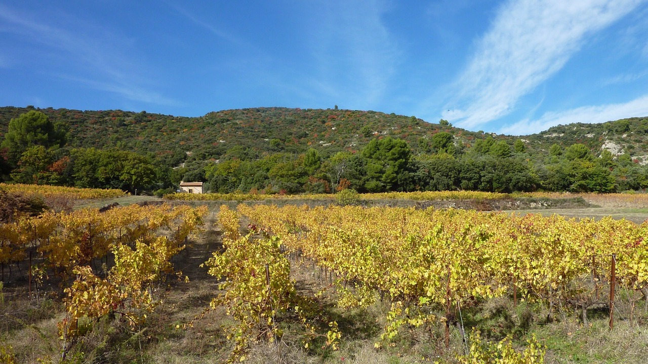 Photo of Others in Lourmarin
