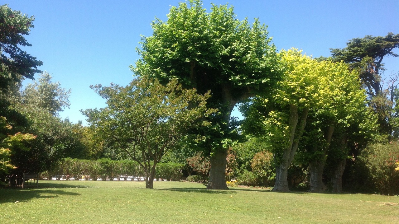 Photo of Outdoor in Bonneveine