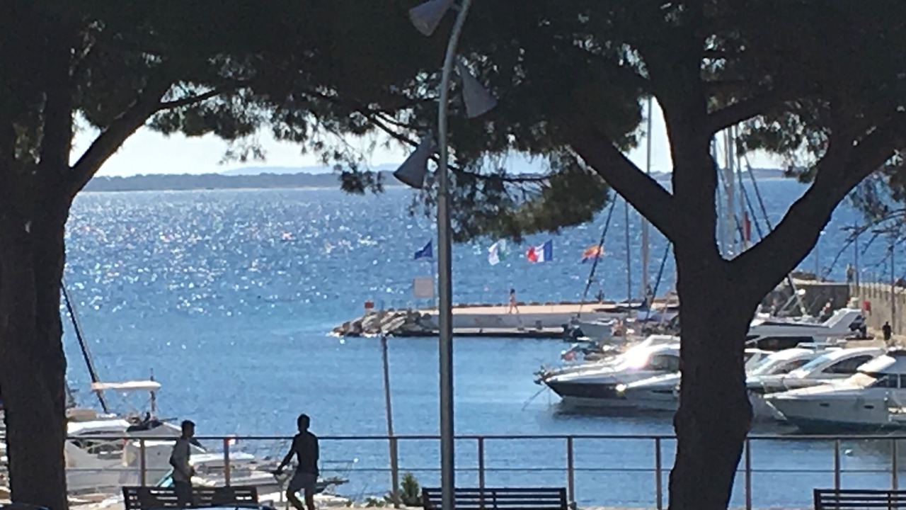 Photo of Others in Carqueiranne