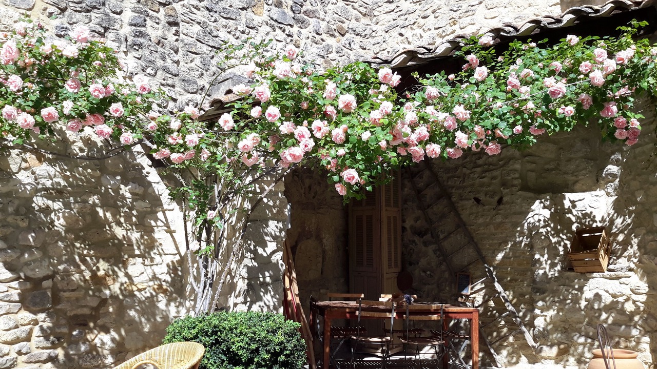 Photo of Outdoor in Beaumont-du-Ventoux