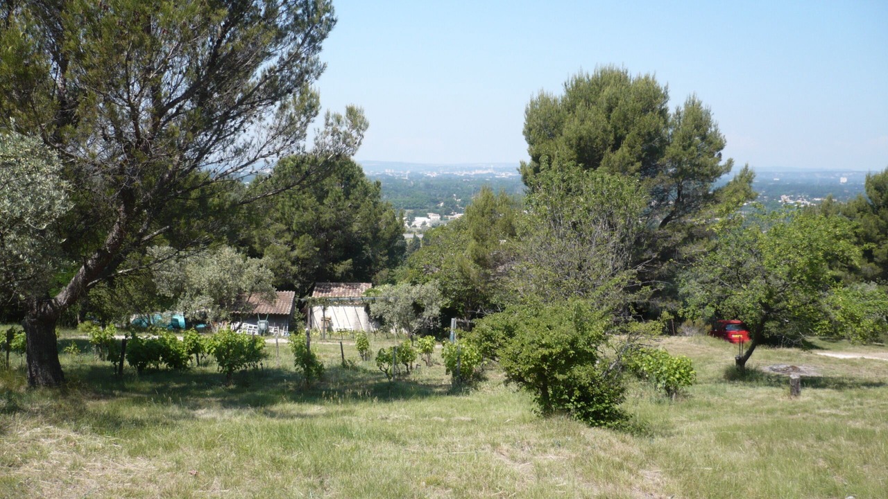 Photo of Outdoor in Morieres-les-Avignon
