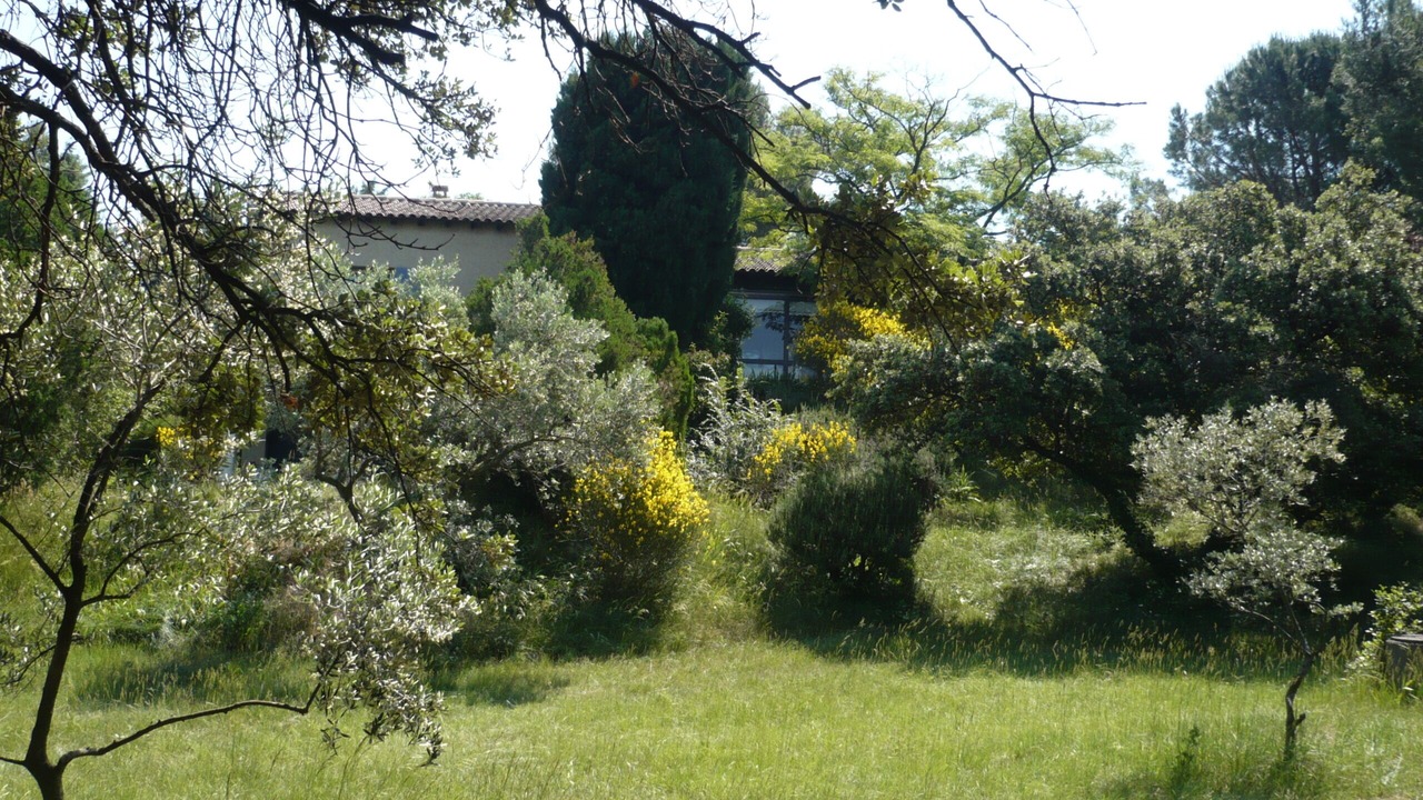 Photo of Outdoor in Morieres-les-Avignon