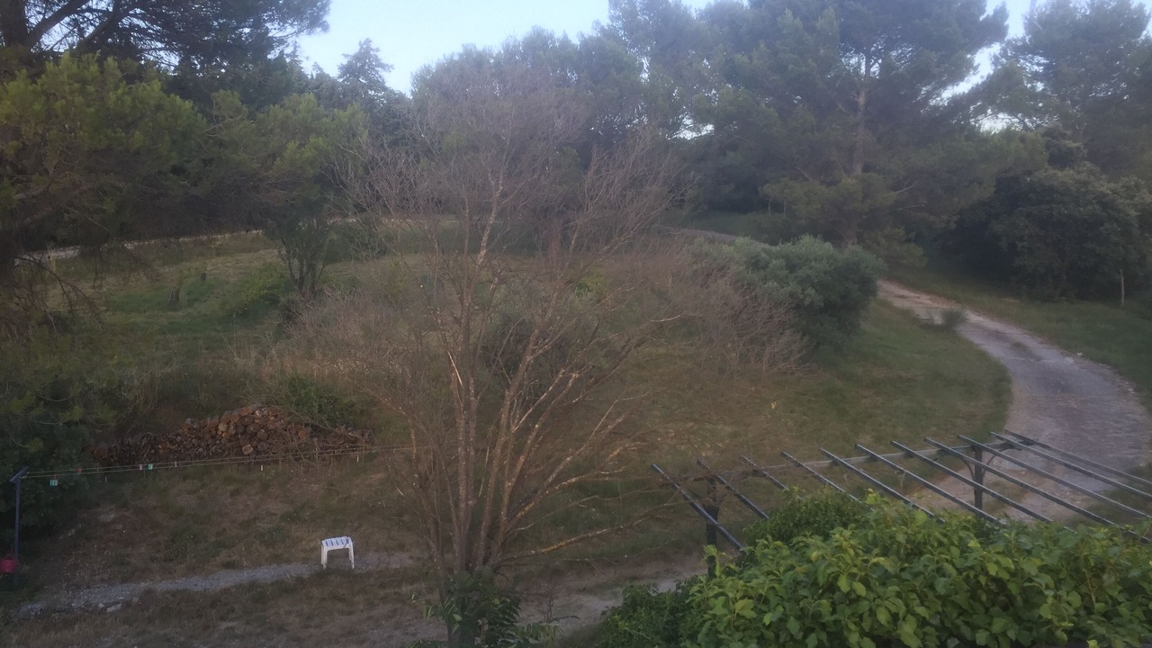 Photo of Outdoor in Morieres-les-Avignon