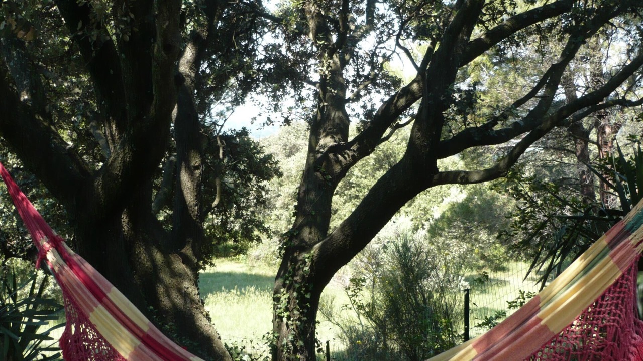 Photo of Outdoor in Morieres-les-Avignon