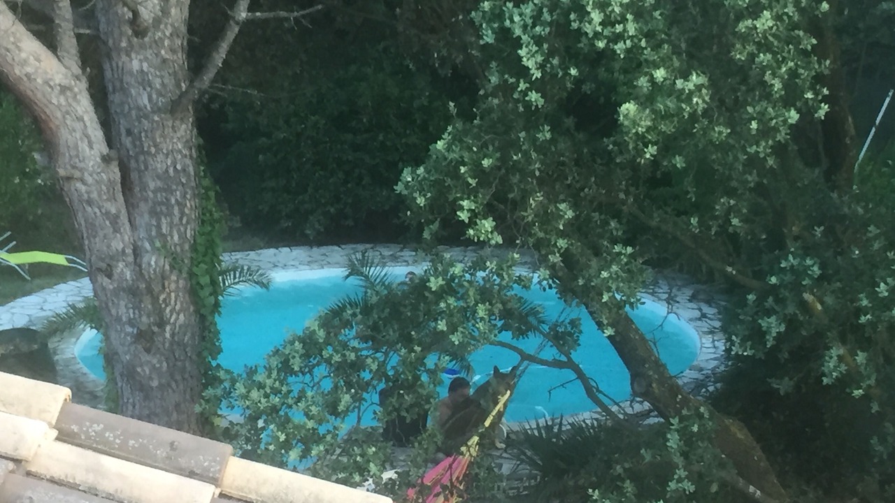 Photo of Outdoor in Morieres-les-Avignon