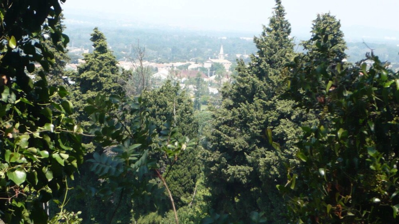 Photo of Outdoor in Morieres-les-Avignon