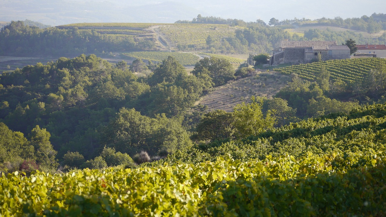 Photo of Others in Vinsobres