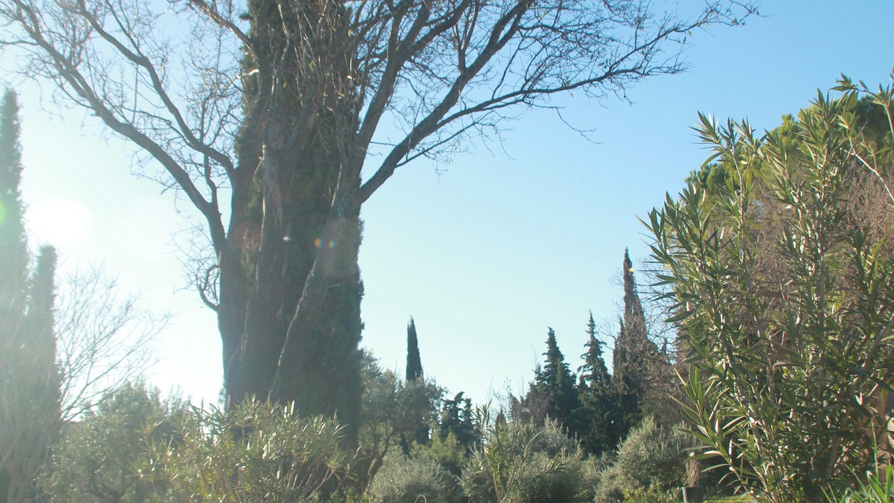 Photo of Outdoor in Mormoiron