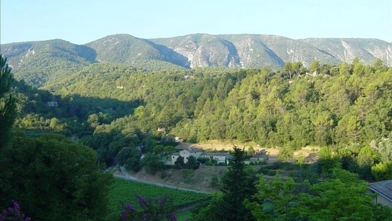 Photo of Others in Menerbes