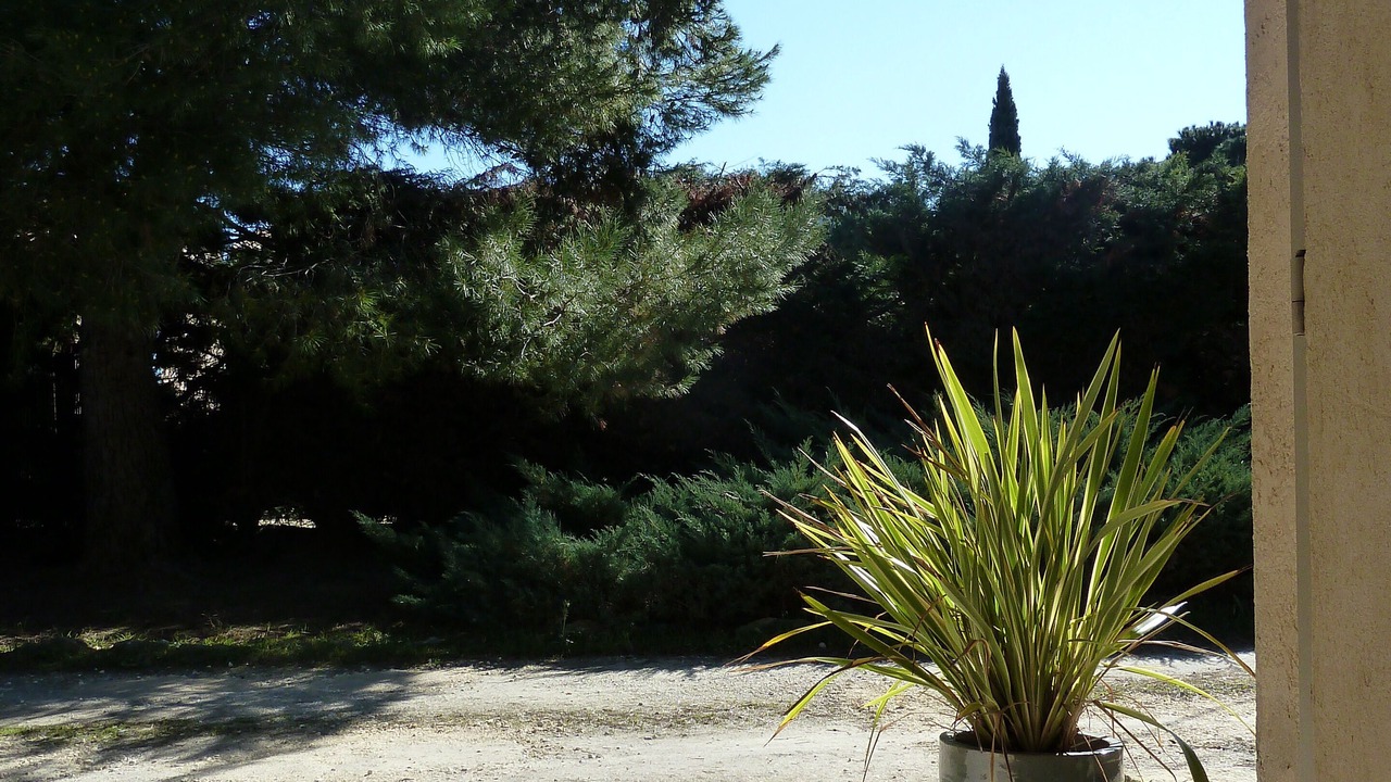 Photo of Outdoor in Maubec