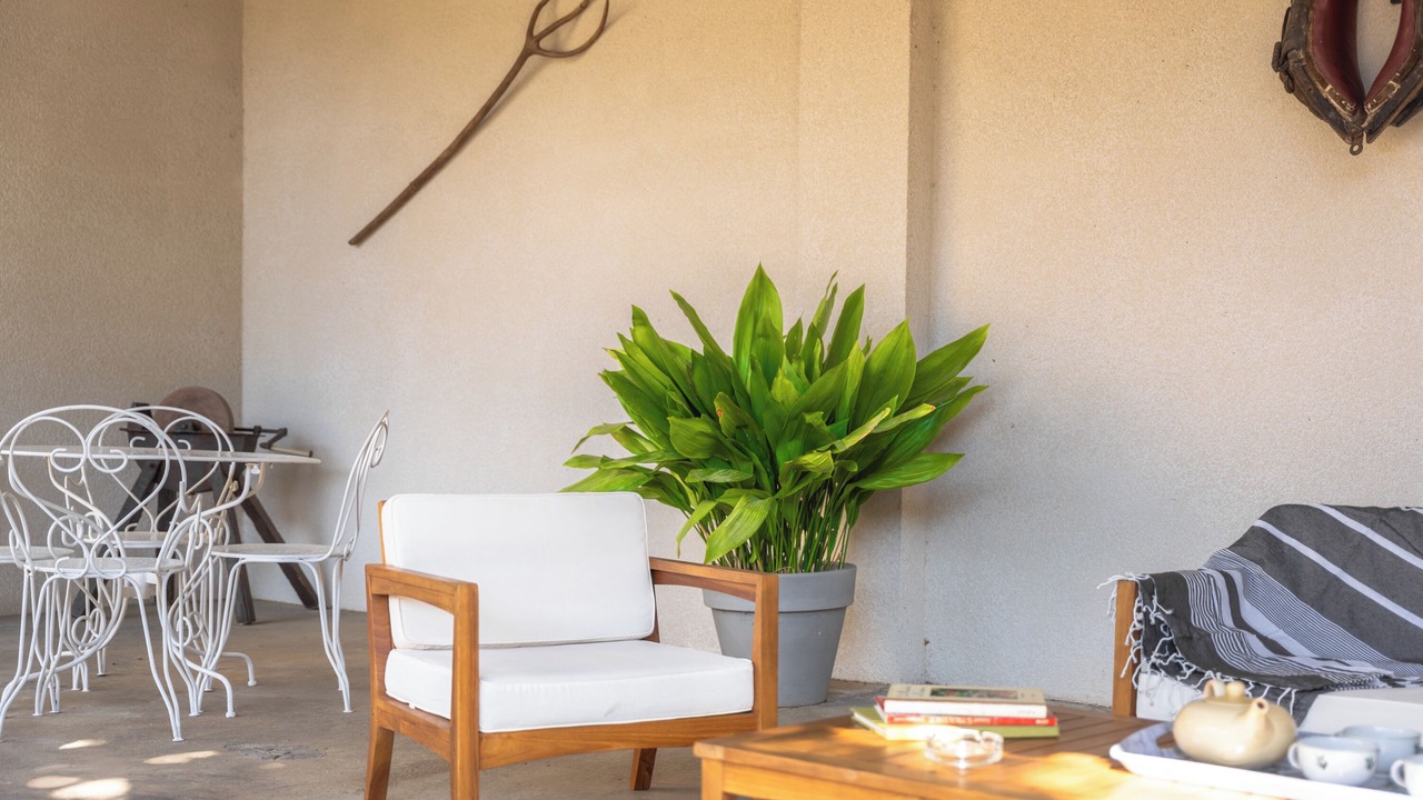 Photo of Outdoor in Jonquerettes
