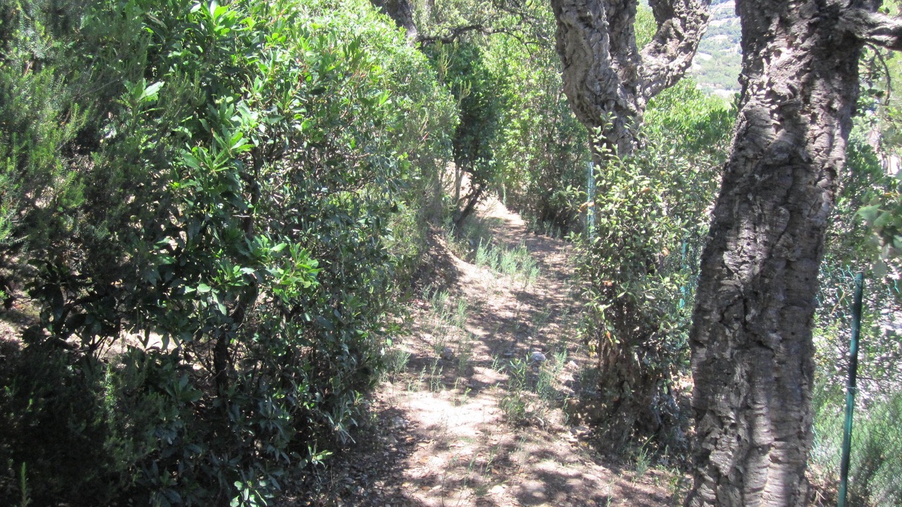 Photo of Outdoor in La Londe-les-Maures